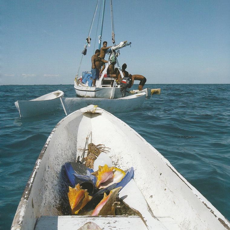 Queen conch fishermen in the Caribbean