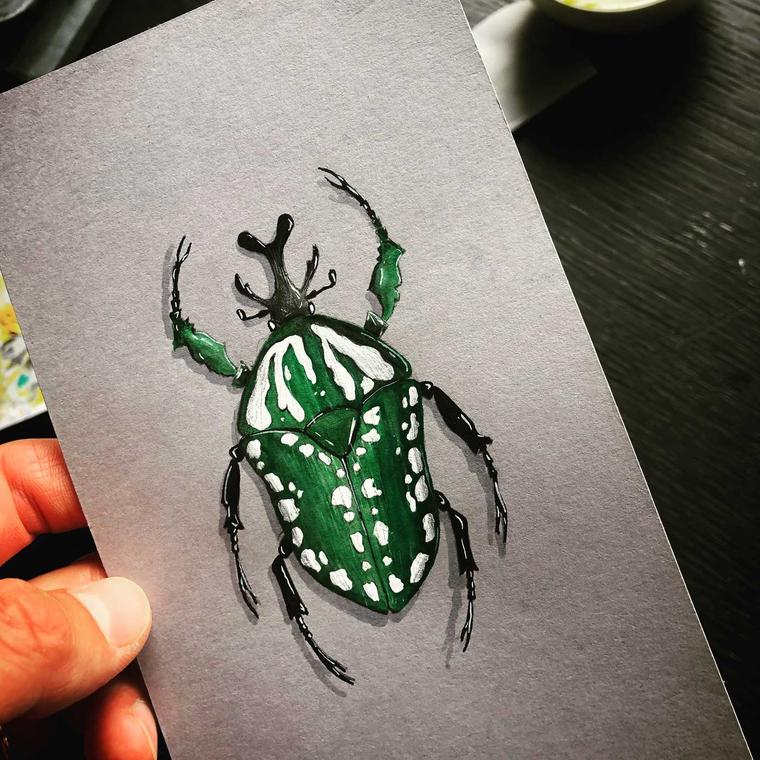 Emmanuel Tarpin sketch of beetle