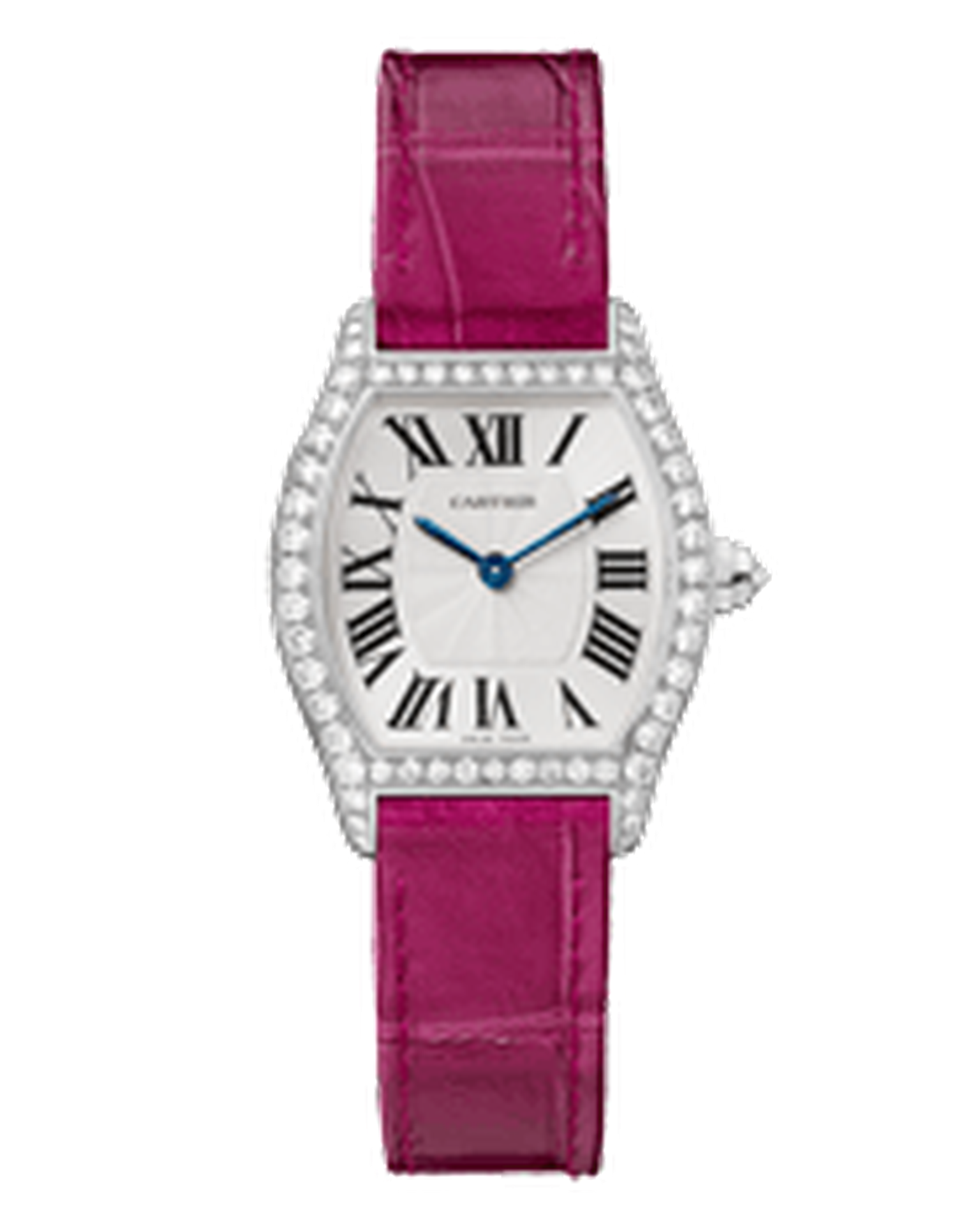 Cartier Tortue watch in white gold and diamonds_20140325_Thumbnail