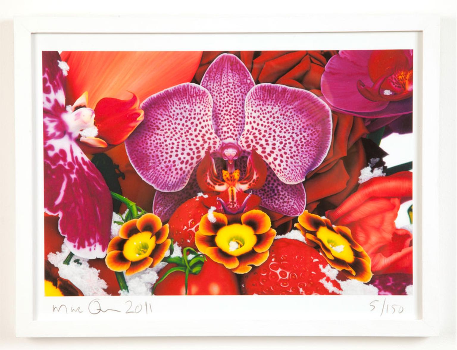 Marc Quinn at Selfridges Limited-edition print Kashi Edition Framed Price from £370