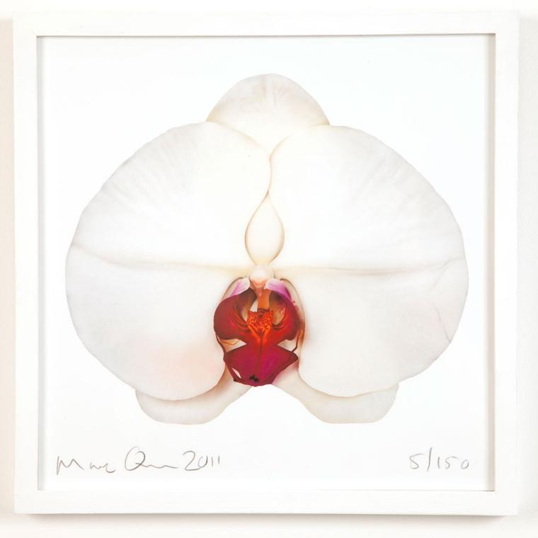 Marc Quinn at Selfridges Limited-edition print White Edition Framed price from 370