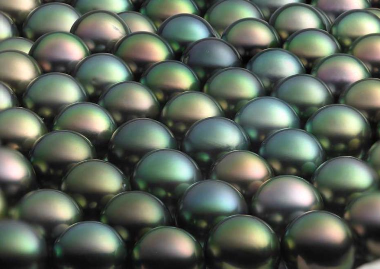 Winterson multi-coloured Tahitian pearls.