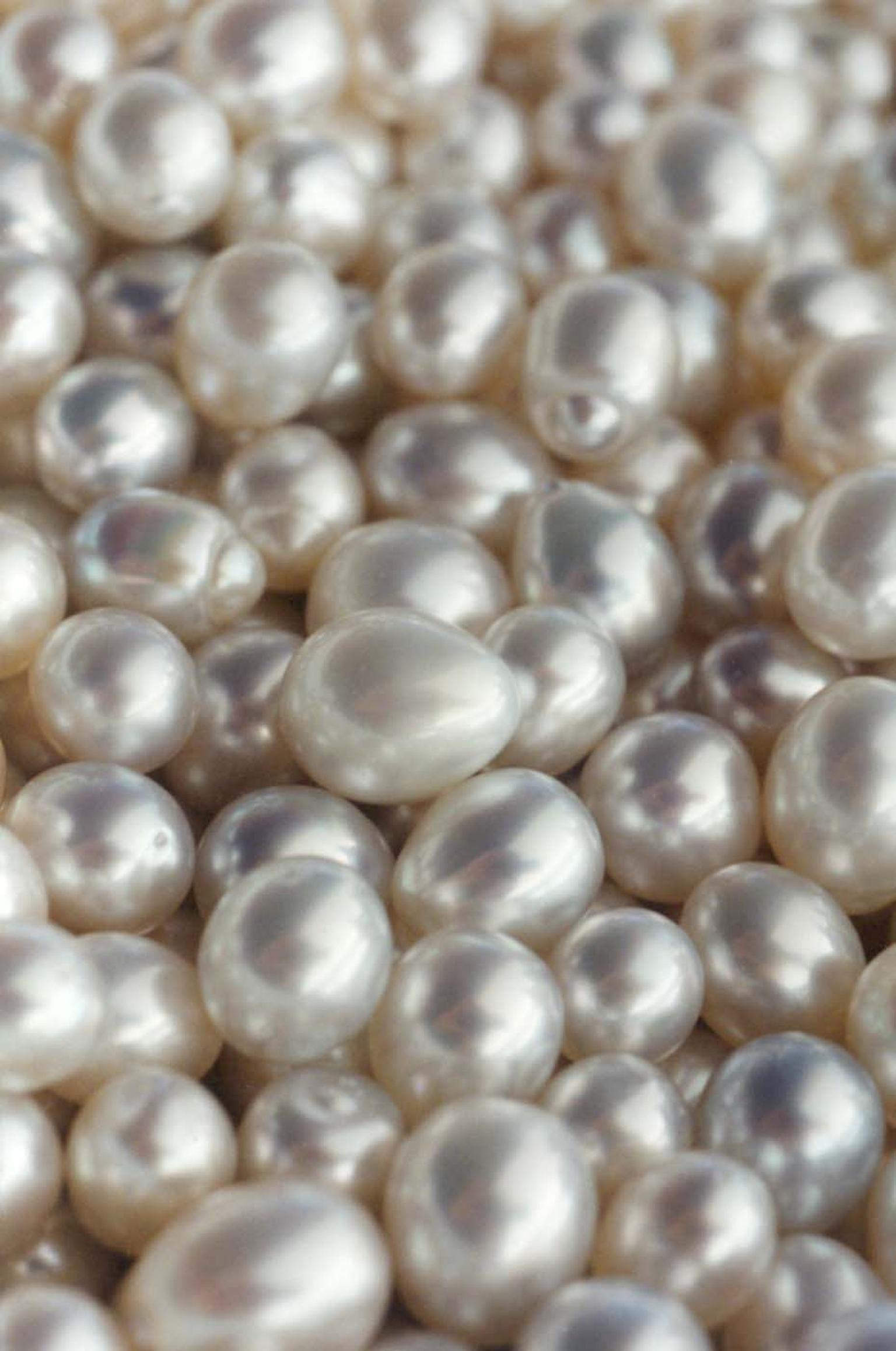 South Sea pearls are extremely rare, spending two silent years within the host oyster. Each pearl chosen by Autore is judged and valued according to the five S's - shine, surface, shade, shape and size.