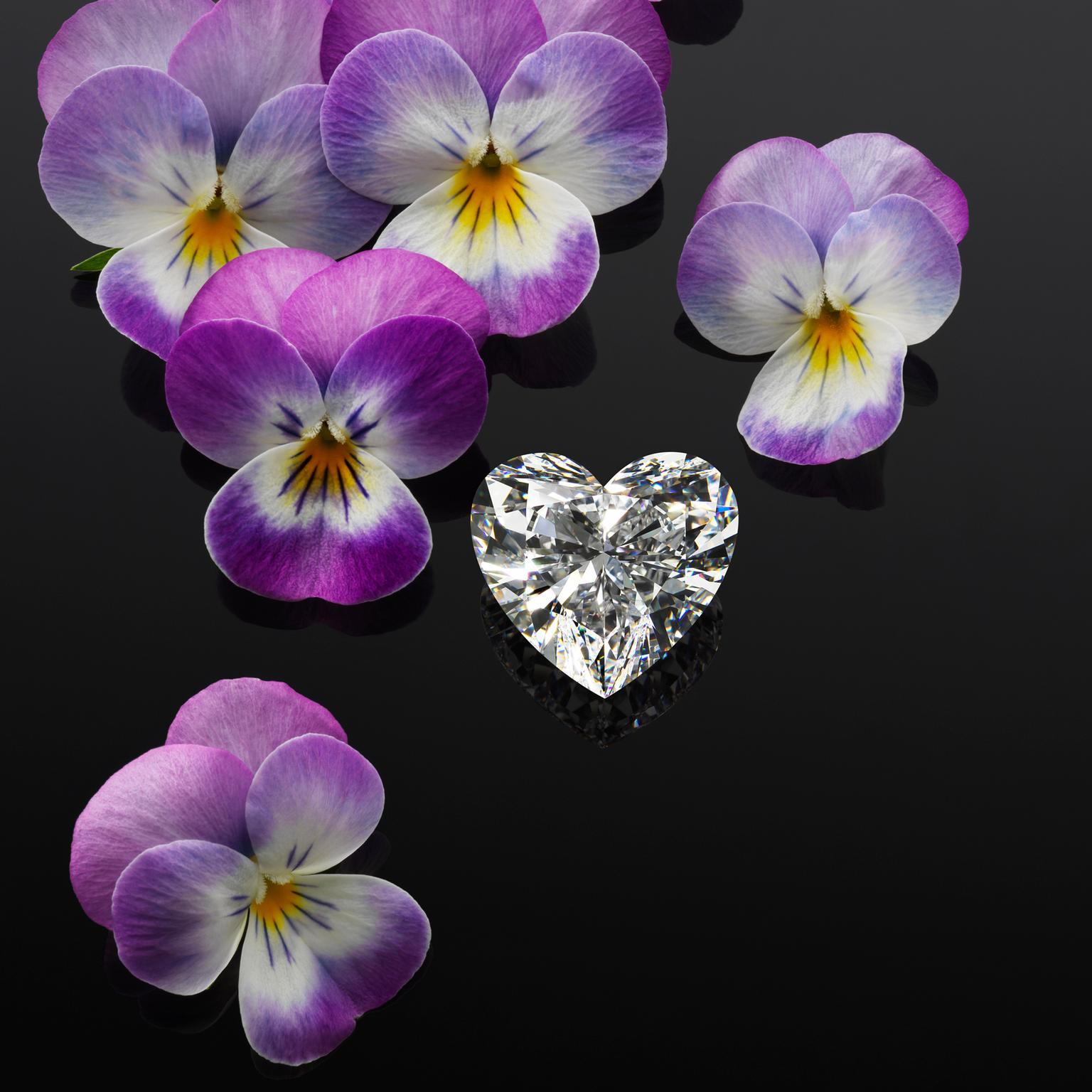 Heart-shape diamond cut from the Garden of Kalahari by Chopard