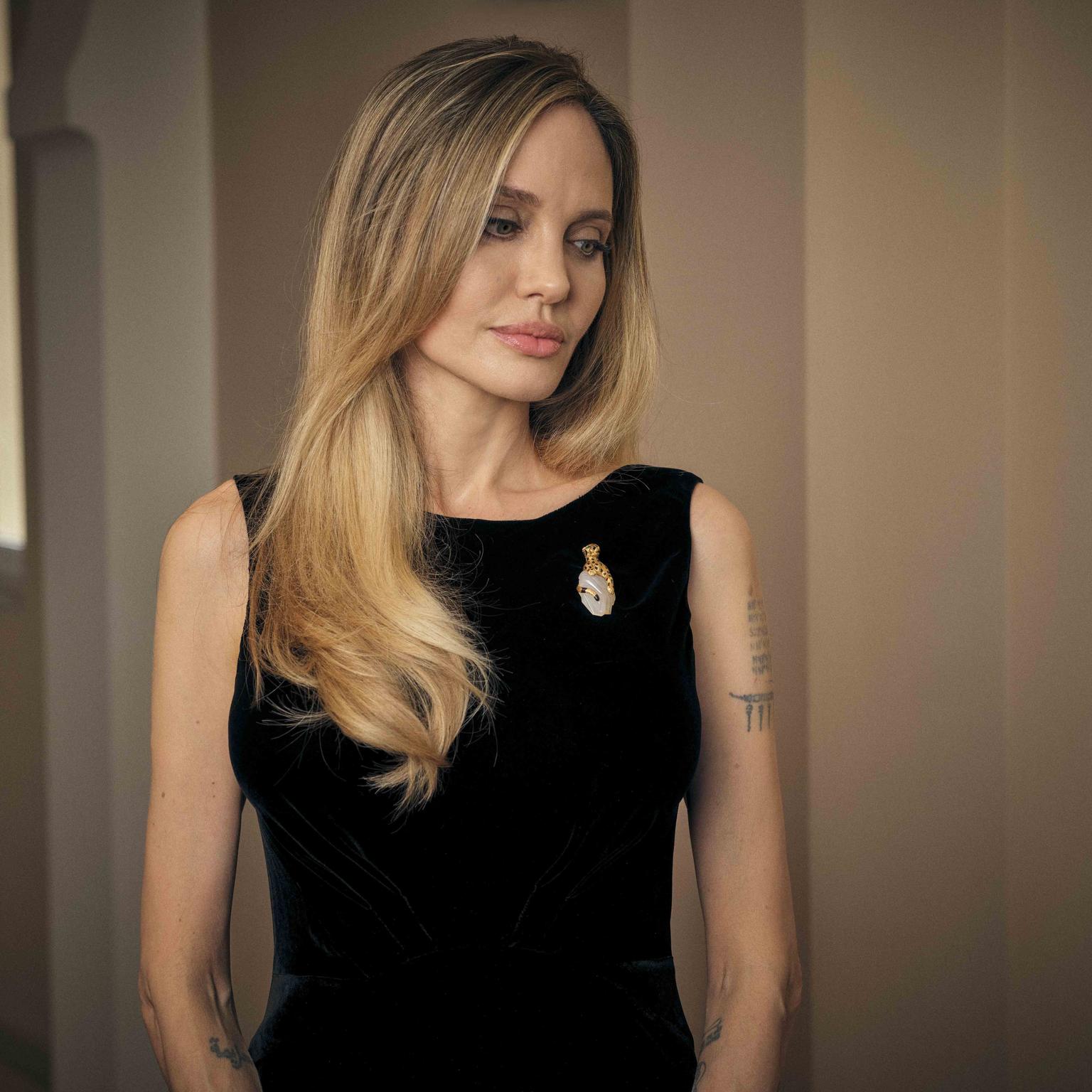5. Angelina Jolie Callas with replica brooch by Cartier