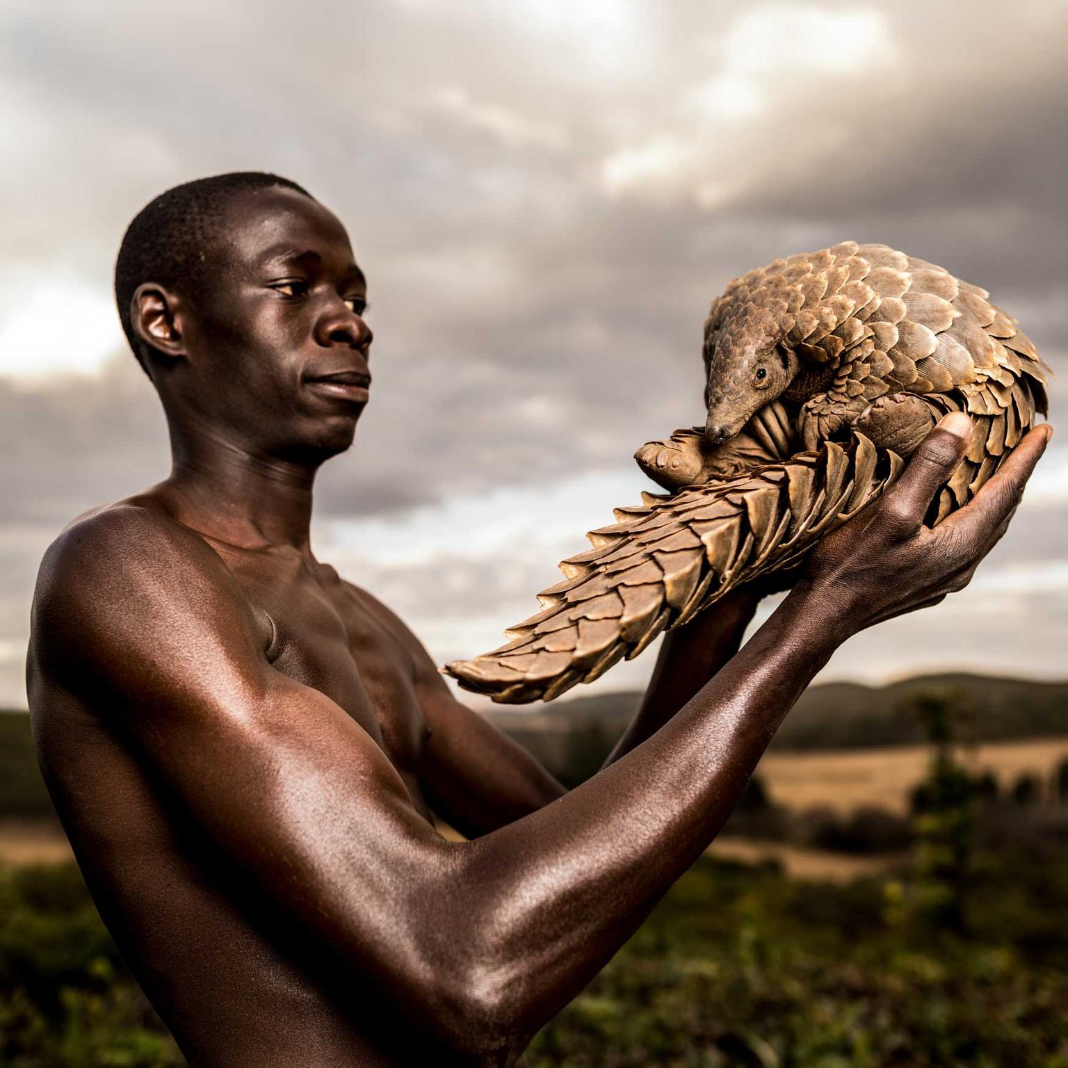 Pangolin Man by Adrian Steirn 