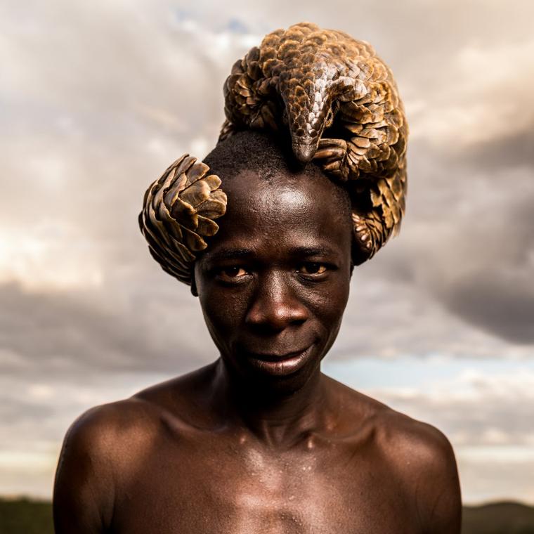 The plight of the pangolin