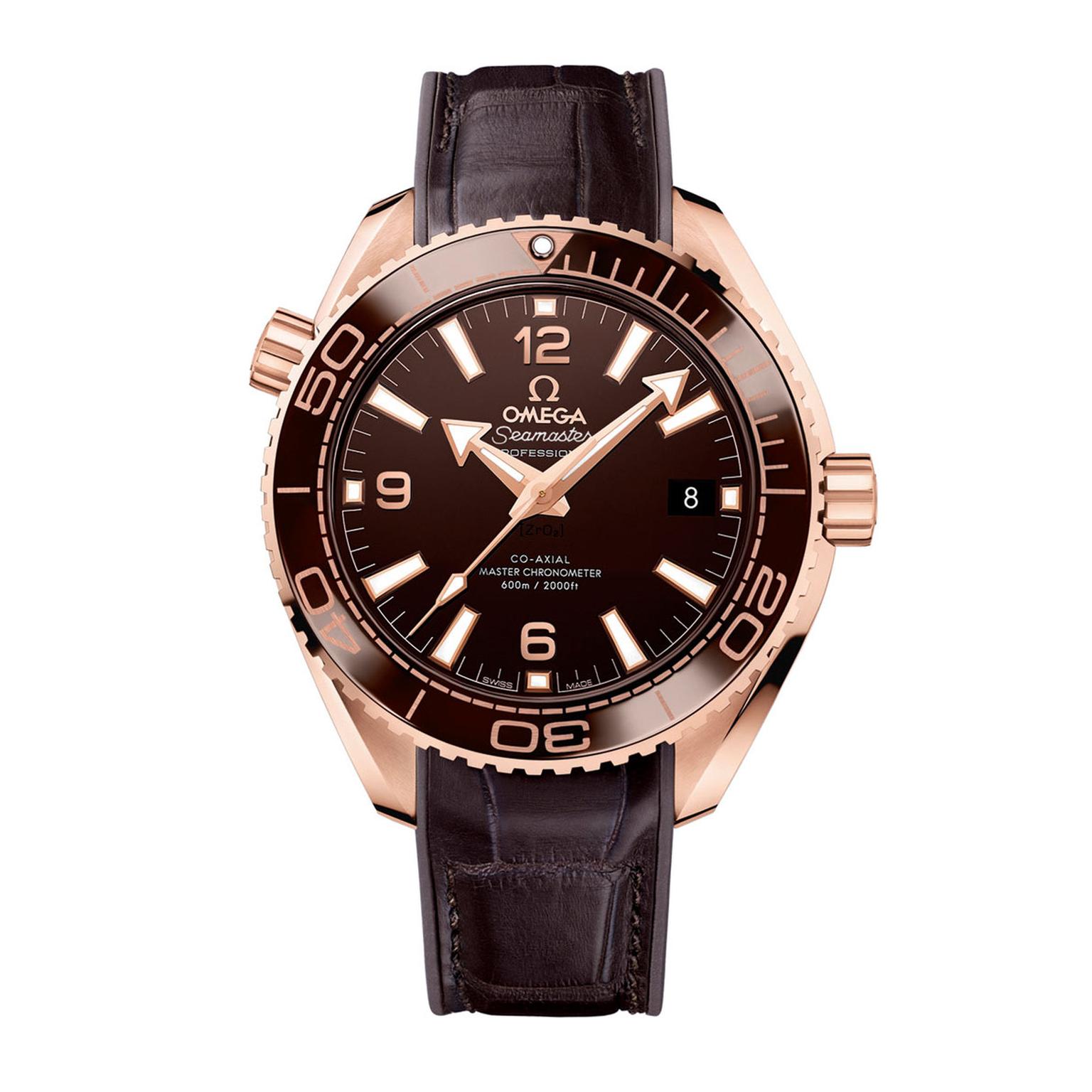 Omega Seamaster Planet Ocean watch