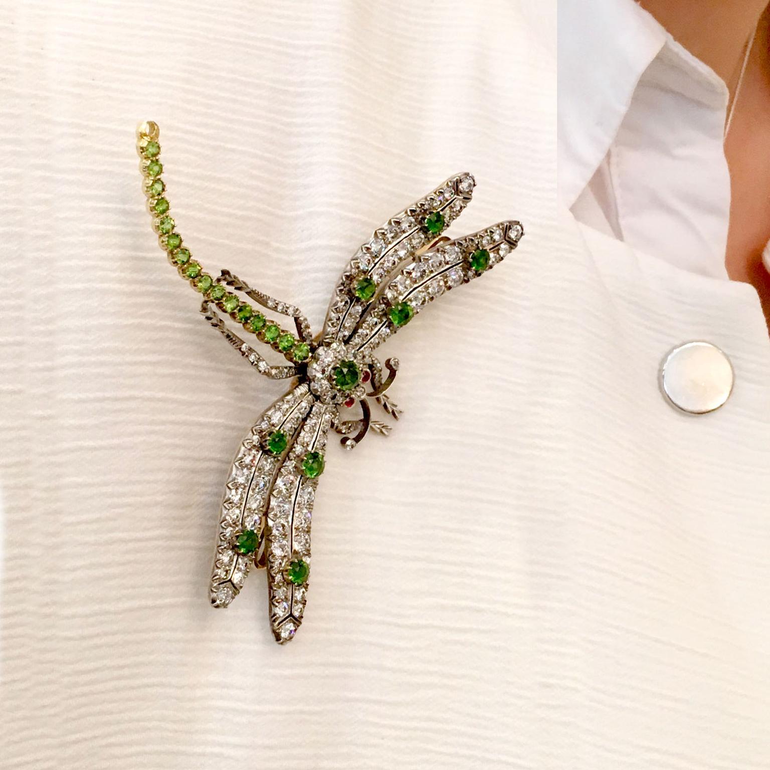 Bentley & Skinner Dragonfly brooch