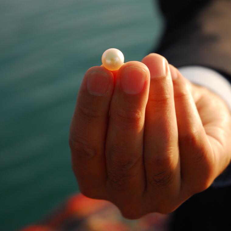 A cultured Arabian pearl