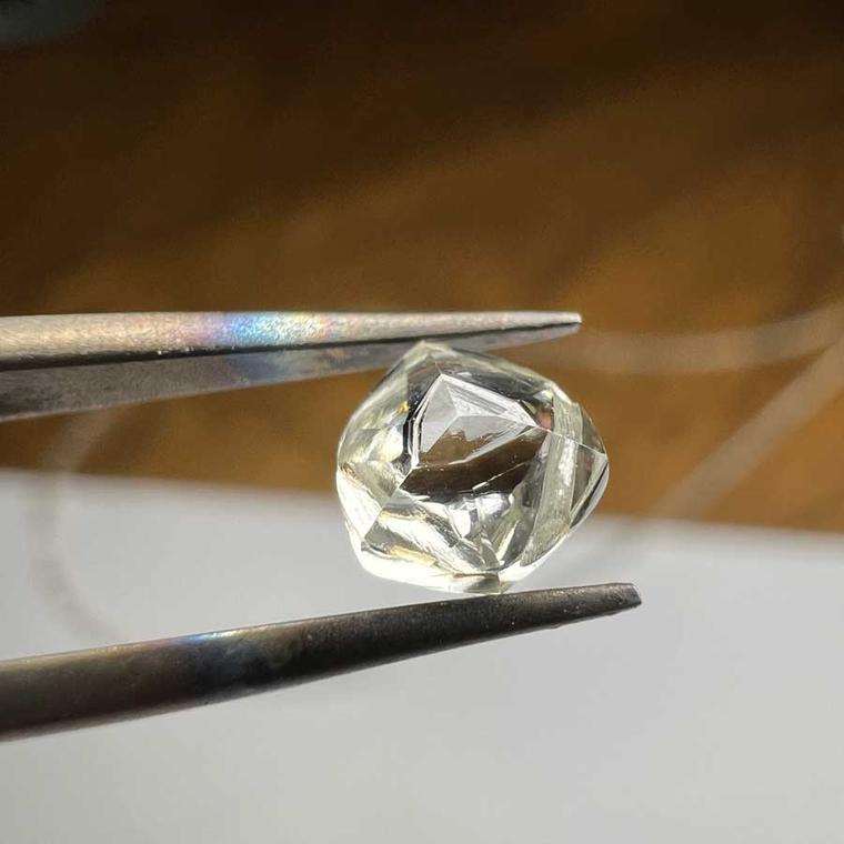 Rough Diamonds in tweezers
