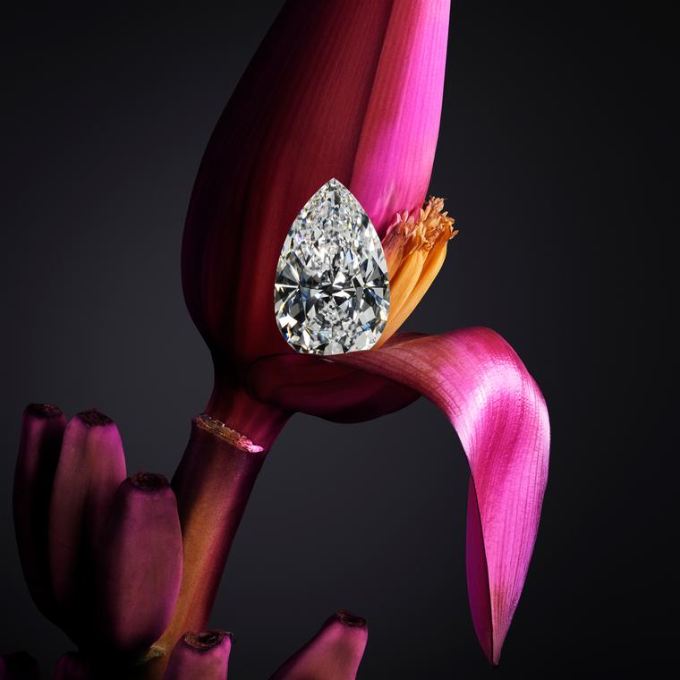 Chopard Garden of Kalahari pear-shape diamond  