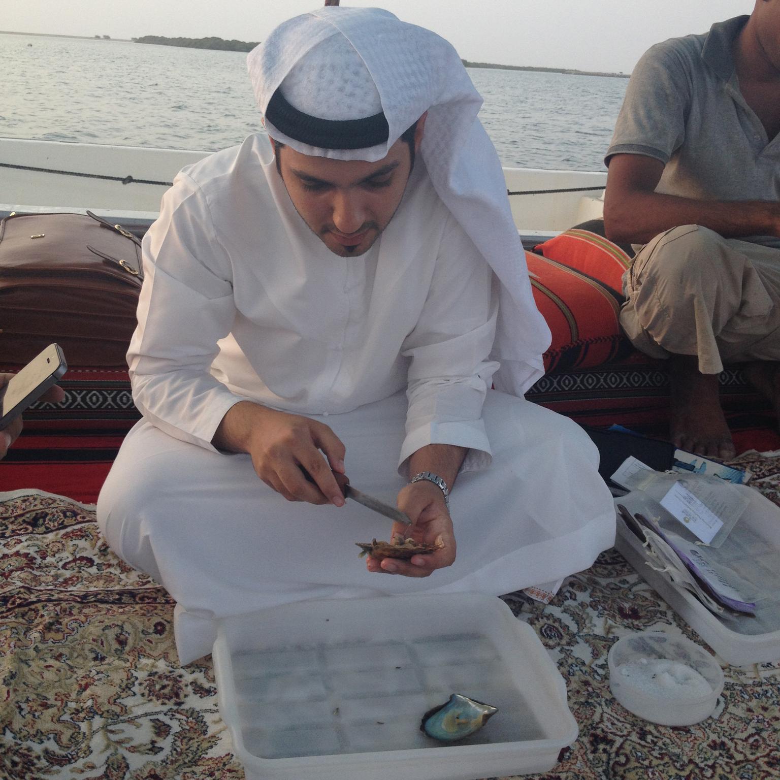 Arabian cultured pearl farming