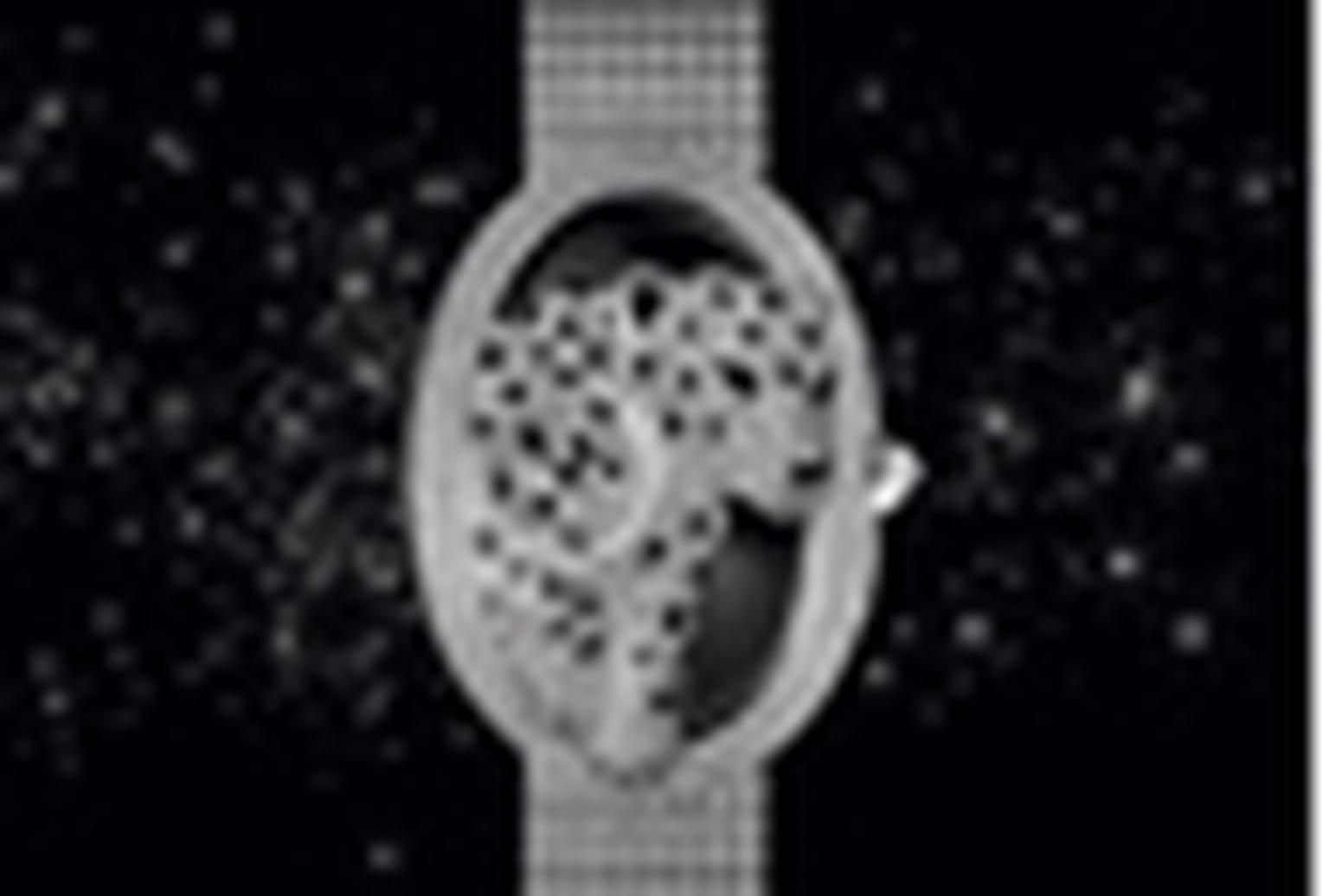 Diamond jewellery watches