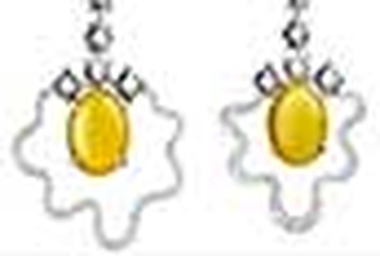 Fried Egg earrings NL