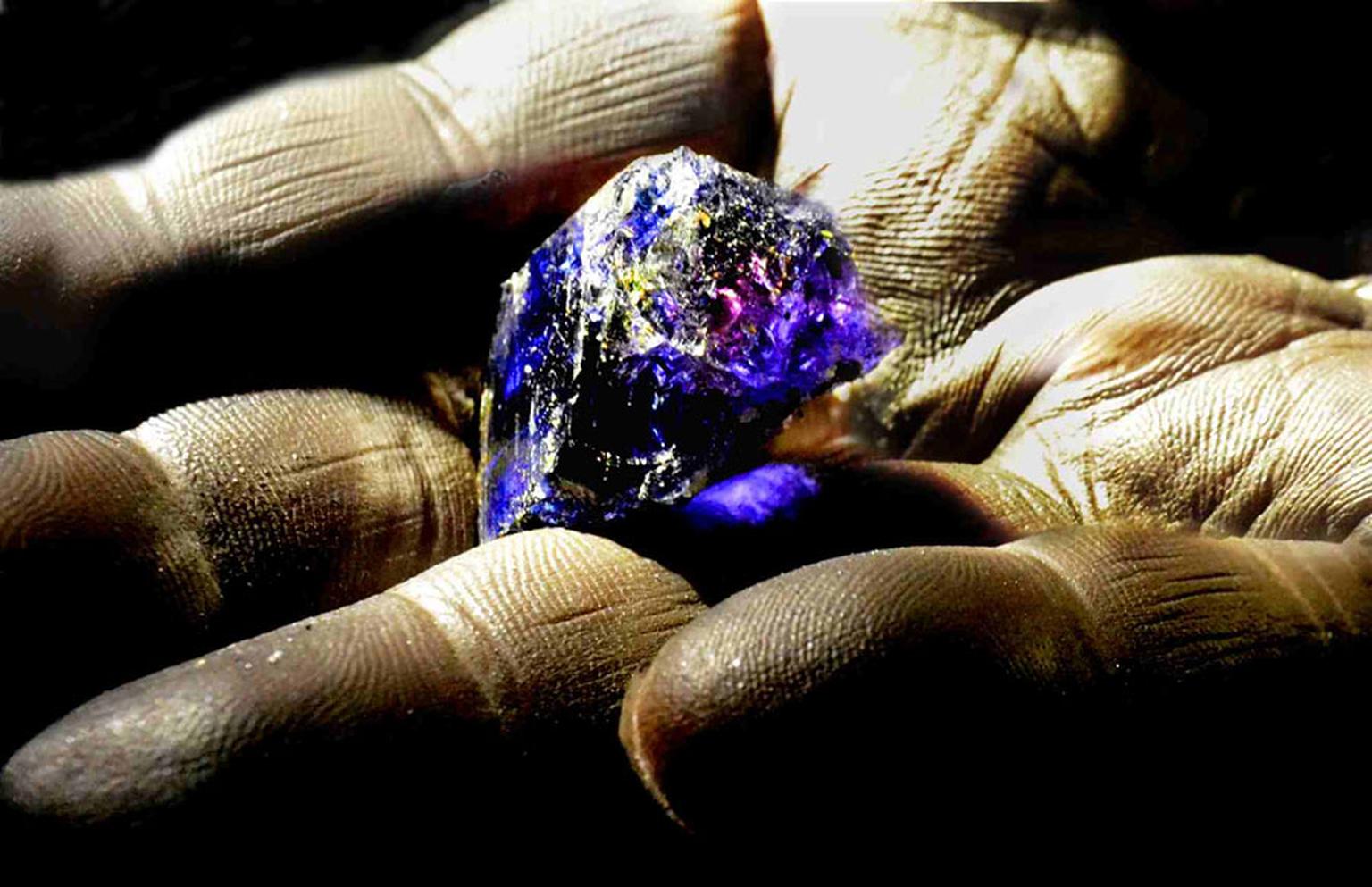 Rough tanzanite photographed deep underground at TanzaniteOne, illustrating "pleochrism": the unique ability to show separate blue and violet hues simultaneously.
