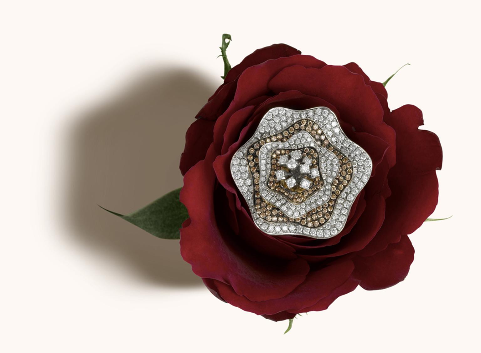 Zoya Espan~a collection exotic rose brooch with champagne and white diamond petals
