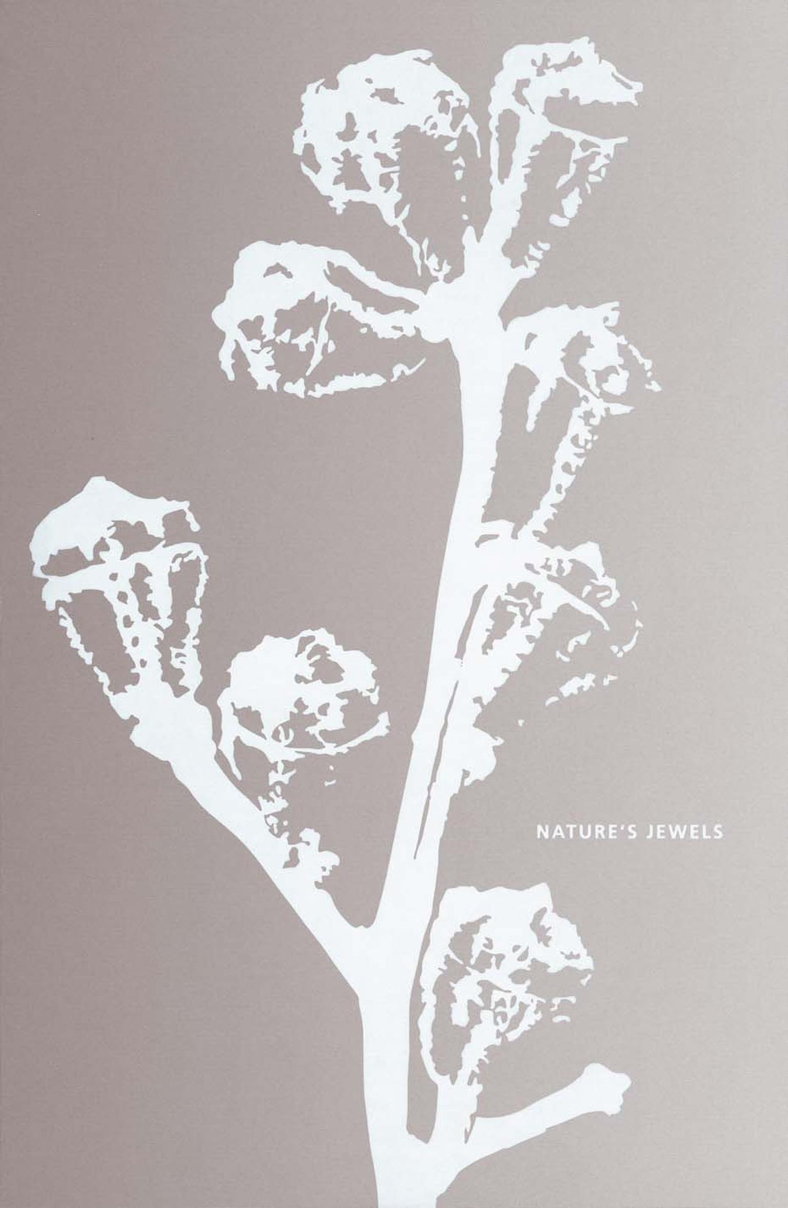 Hemmerle's new collection is accompanied by the publication of a new poetry book, titled ‘Nature’s Jewels’, which pairs each creation with a poem