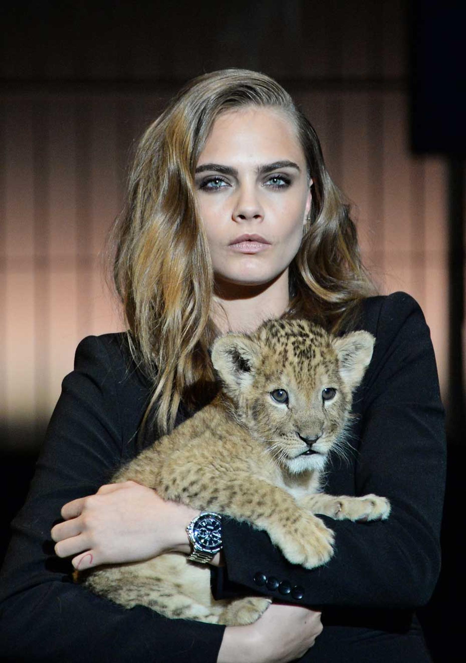 Chick with attitude: Cara Delevingne has been chosen by TAG Heuer watches as its new ambassador and appeared on stage cuddling a lion cub.