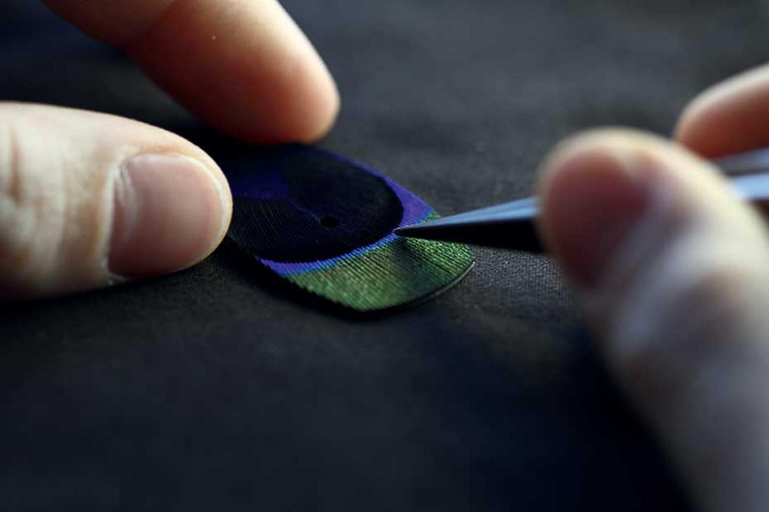 The feathers are arranged using a technique similar to wood marquetry, individually positioned in order to reproduce the desired motif before being glued flat.